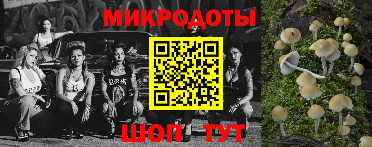 Белая Калитва  Псилоцибиновые грибы Psilocybe  Вход с VPN  Псилоцибиновые грибы Cubensis 